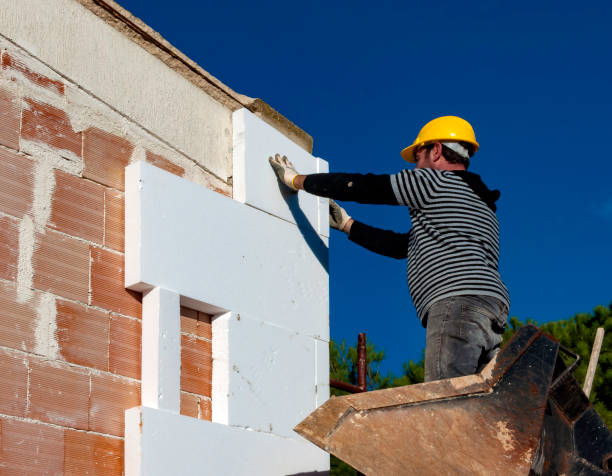 Best Cellulose Insulation  in Mantua, VA