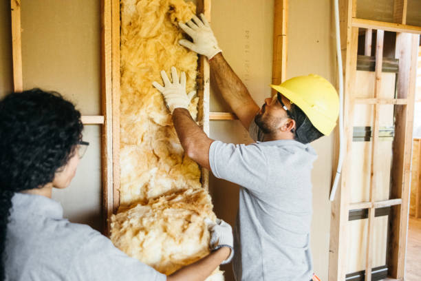 Best Insulation Removal  in Mantua, VA