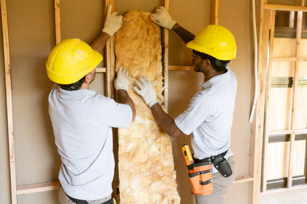 Best Local Insulation Services  in Mantua, VA