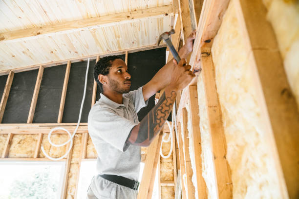 Best Insulation for Commercial Buildings  in Mantua, VA