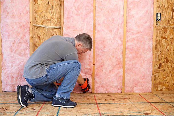 Best Insulation Replacement Services  in Mantua, VA