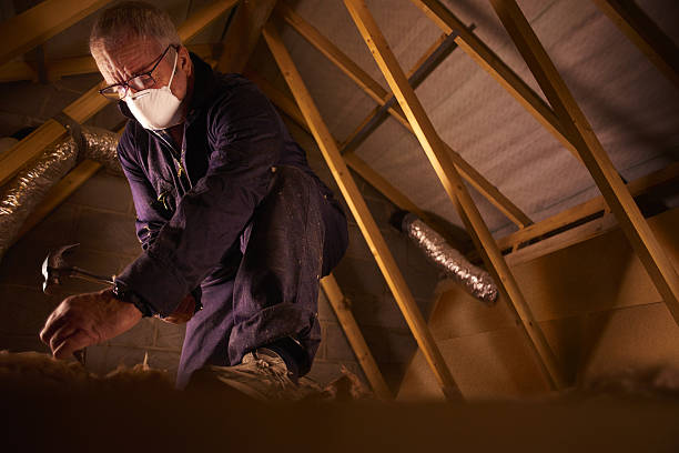 Best Insulation Contractors for Homes  in Mantua, VA